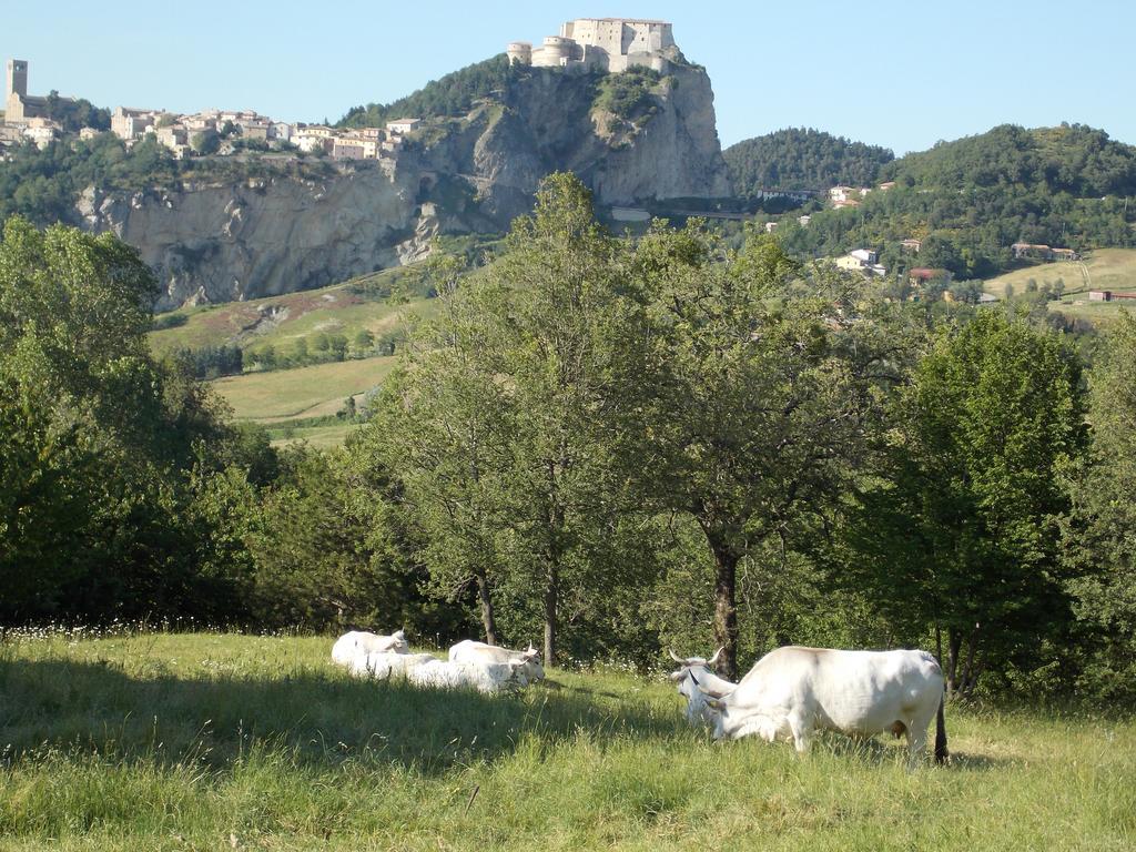 Osteria Belvedere San Leo Esterno foto